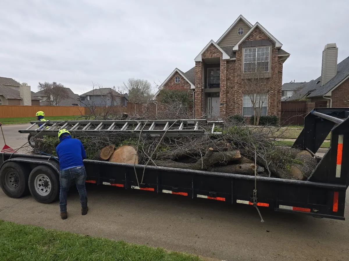 Expert Lot Clearing with proper safety equipment in Coupland